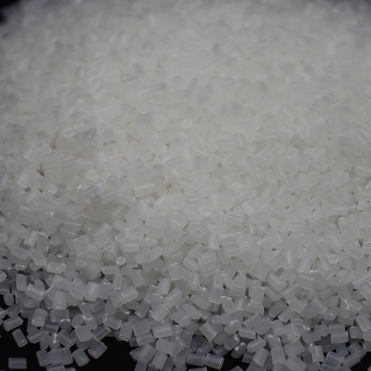 Biodegradable Polymer Particles